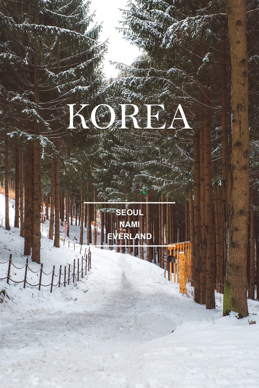 SOUTH KOREA WINTER WONDERS